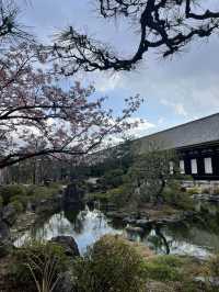 【京都を見て、歩いて、食べて】