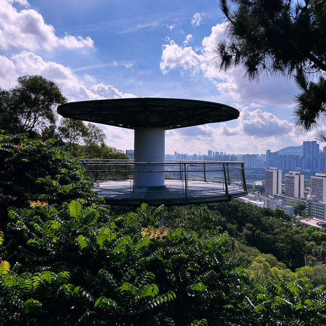 🌆 Xiamen’s Sky High Observatory: Where the City, Mountains & Sea Collide!"