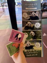 南紀白濱冒險世界（2025/06熊貓回去成都了）