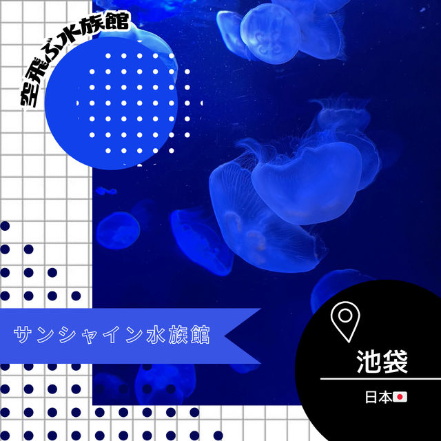 【東京/池袋🇯🇵】空飛ぶ水族館🦭サンシャイン水族館