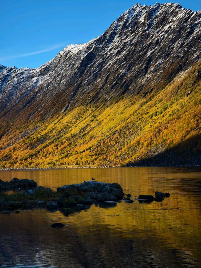 Mirror Magic: Gryllefjord’s Reflective Wonder