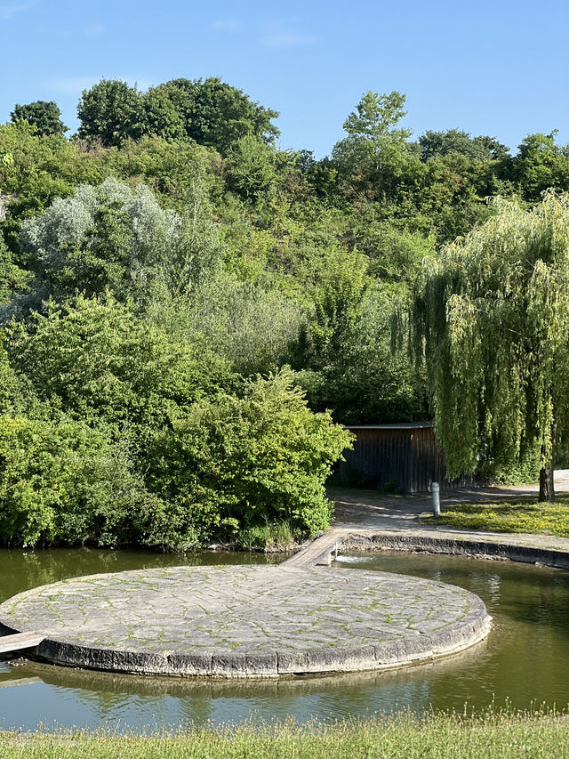 🏞️ Stadtpark Leonberg⛲️