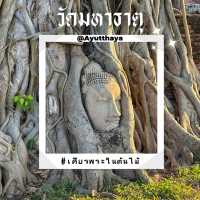 มรดกโลก🌟 แห่งอยุธยา วัดมหาธาตุ