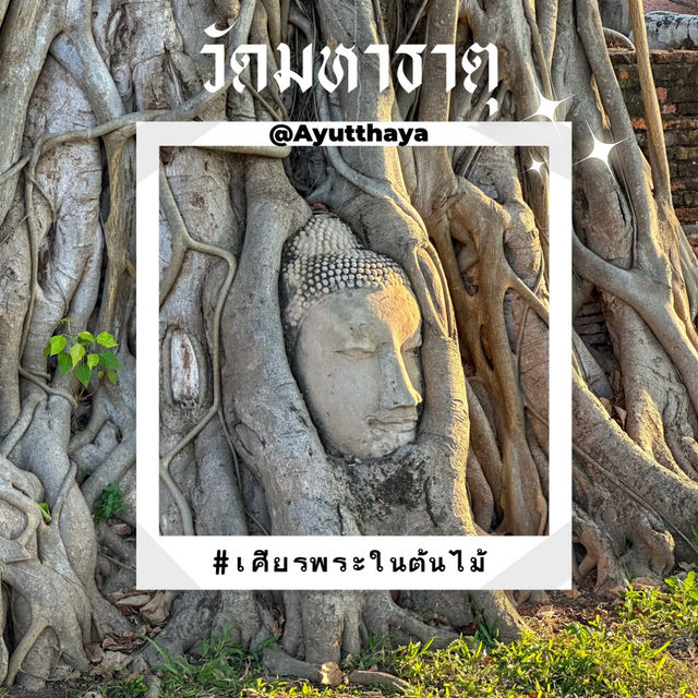 มรดกโลก🌟 แห่งอยุธยา วัดมหาธาตุ