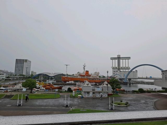 【名古屋港水族館】親子必訪行程推薦｜海豚表演、白鯨、虎鯨一次看