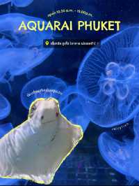 ท่องโลกใต้ท้องทะเลไปกับ Aquaria Phuket