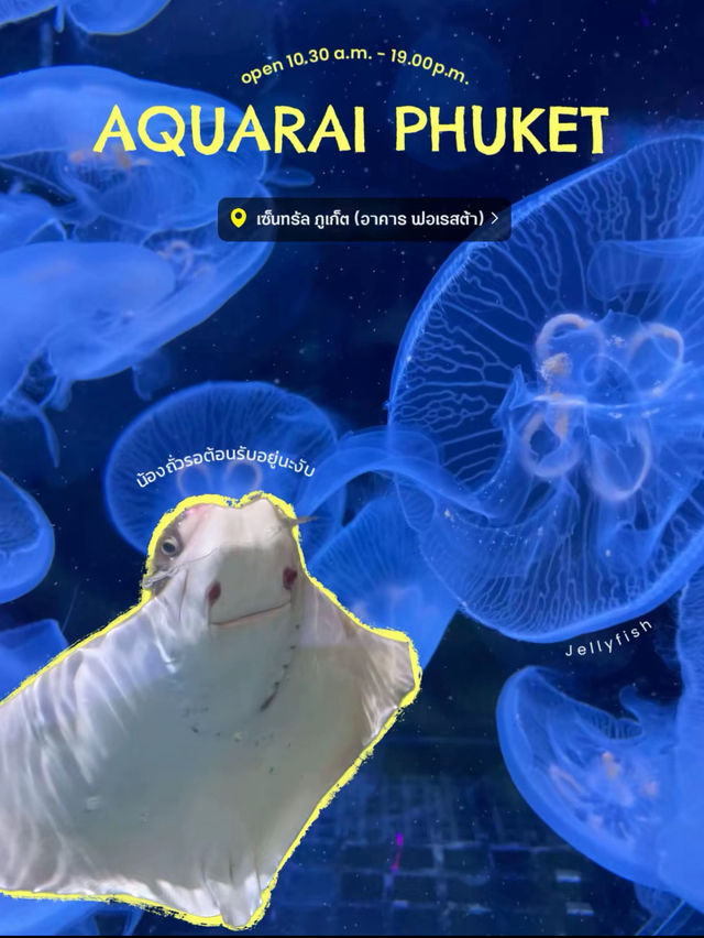 ท่องโลกใต้ท้องทะเลไปกับ Aquaria Phuket