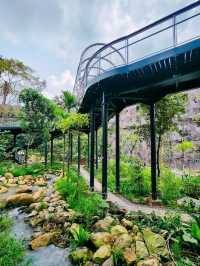 🌳🐒 “Step into the Wild!” – Asian Rainforest Adventure Singapore 