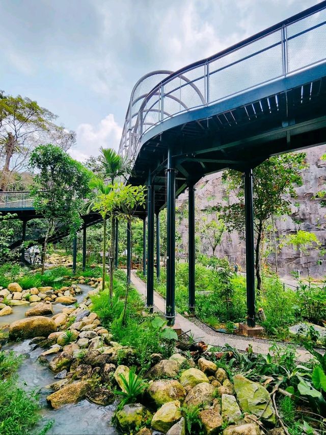 🌳🐒 “Step into the Wild!” – Asian Rainforest Adventure Singapore 