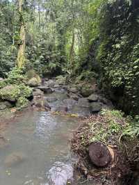 Beautiful waterfall in Ubud