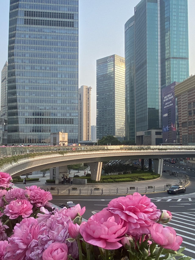 ชมวิว The Bund ฝั่งที่คนไม่เยอะ 🇨🇳