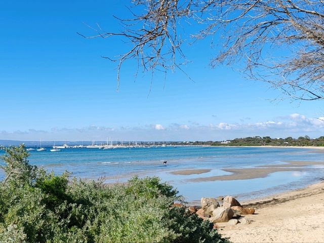 Cameron's Bight Boat Club：彩虹船与航海传奇