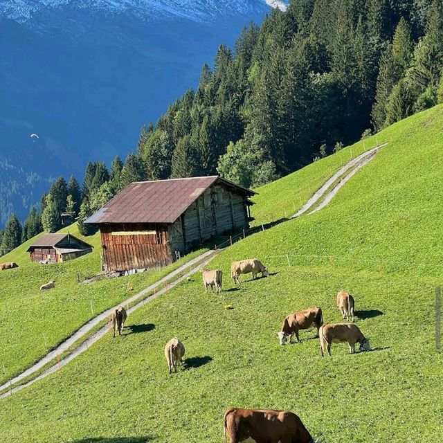 Grindelwald First – Trottibike & Zipline