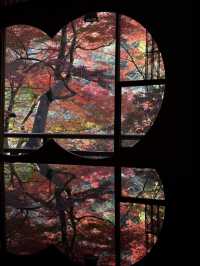 京都・嵐山の紅葉