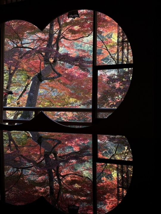 京都・嵐山の紅葉