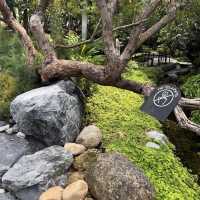 : Harudot Chonburi by Nana Coffee Roasters