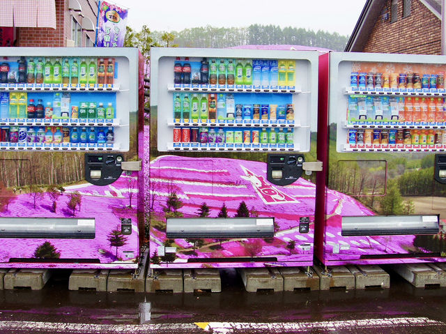🌸 A Sea of Pink – Higashimokoto Shibazakura Park in Full Bloom