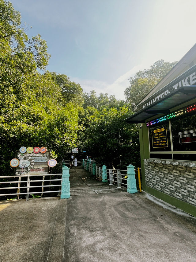 City Mangrove Park – A Perfect Summer Escape into Nature