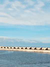Jeju City's Vibrant Waterfront Hub