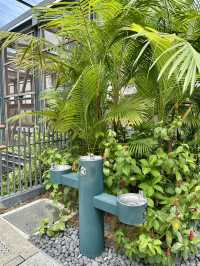 Urban Oasis for Little Explorers: Play & Splash at TRX City Park