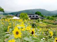 茨城花卉公園