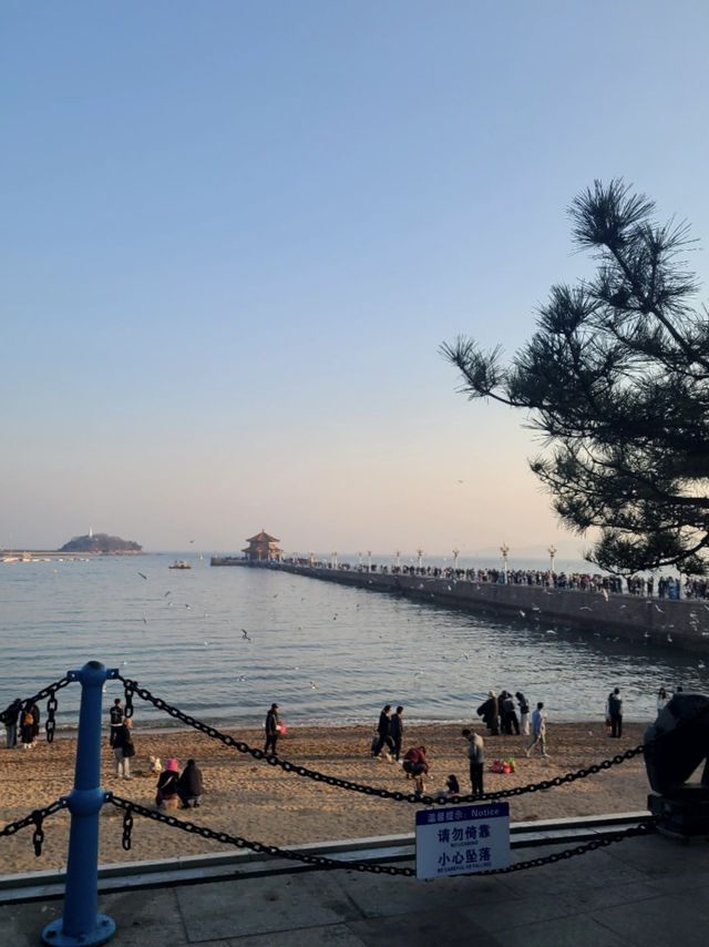 칭다오 2박 3일 여행