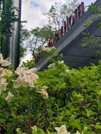 Elegance in design: The Fullerton Bay Hotel