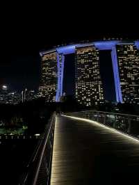 Neon Trees, Gardens by the Bay at Night