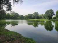 Ayutthaya Historical Park (Day Trip)