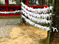 A hidden gem of Old Tokyo, the Nezu Shrine