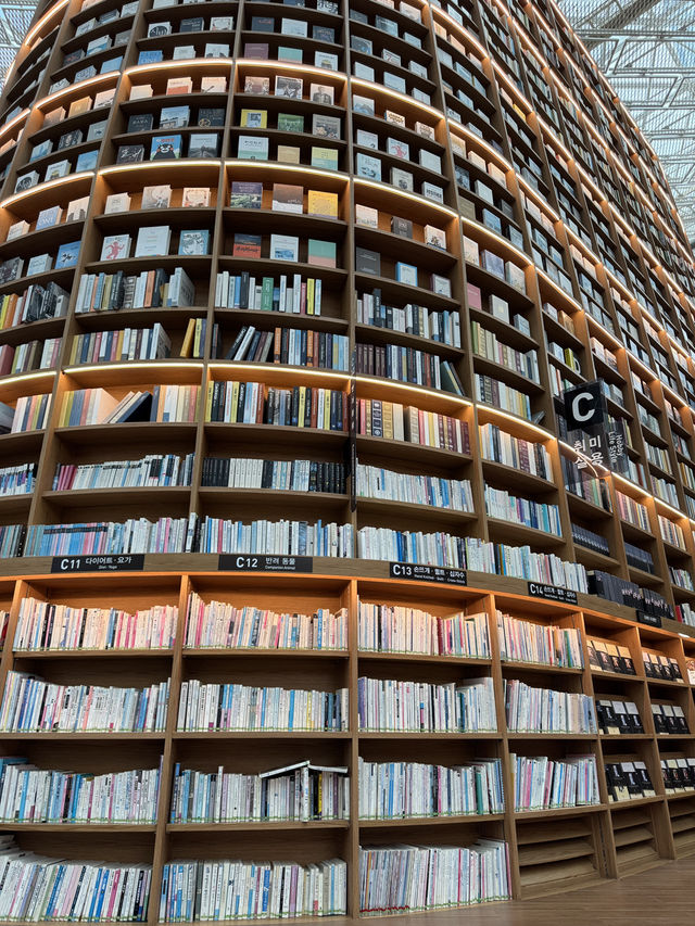 韓國首爾星空圖書館（韓劇：青春紀錄拍攝地點）