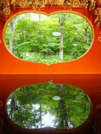 【群馬】映えスポット多数！群馬を代表する花寺