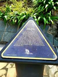 A Chill Slice of Green in the City : Telok Ayer Green