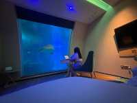 Underwater Dreams at Ocean Suites
