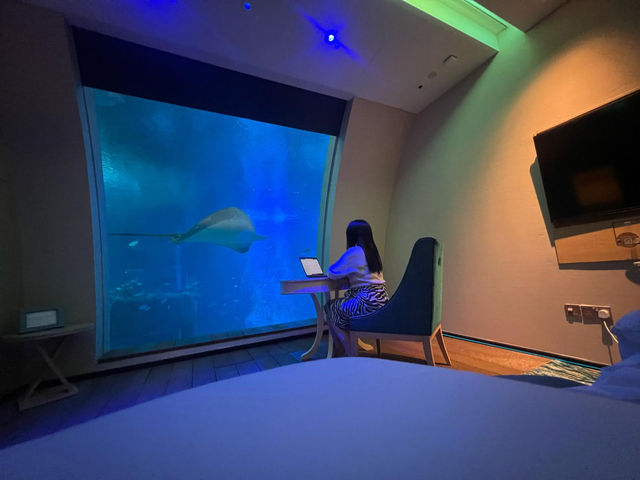 Underwater Dreams at Ocean Suites