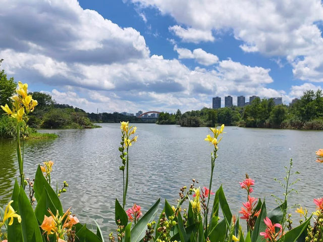 貴州之旅景點分享 青巖古鎮 博物館 觀山湖公園 青雲路步行街 甲秀樓 蔡家街夜市 