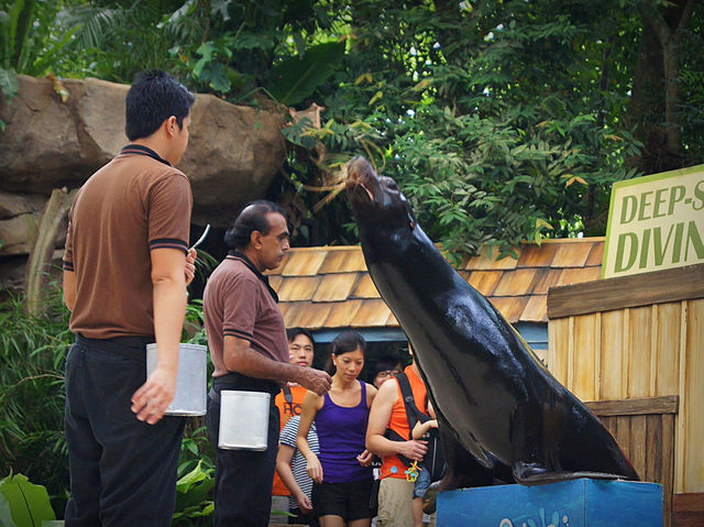 🦁 Singapore Zoo — A Wild Day in a Rainforest Wonderland