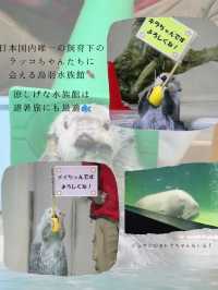 【三重】伊勢＆鳥羽を気ままに楽しむ！ゆったり避暑旅！
