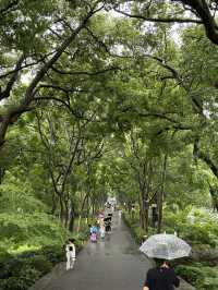 West Lake: Hangzhou: Where Poets, Emperors & Mist Crowned Hills Paint Paradise
