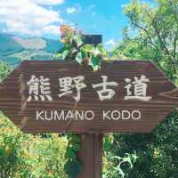🌳熊野古道🌳　大門坂