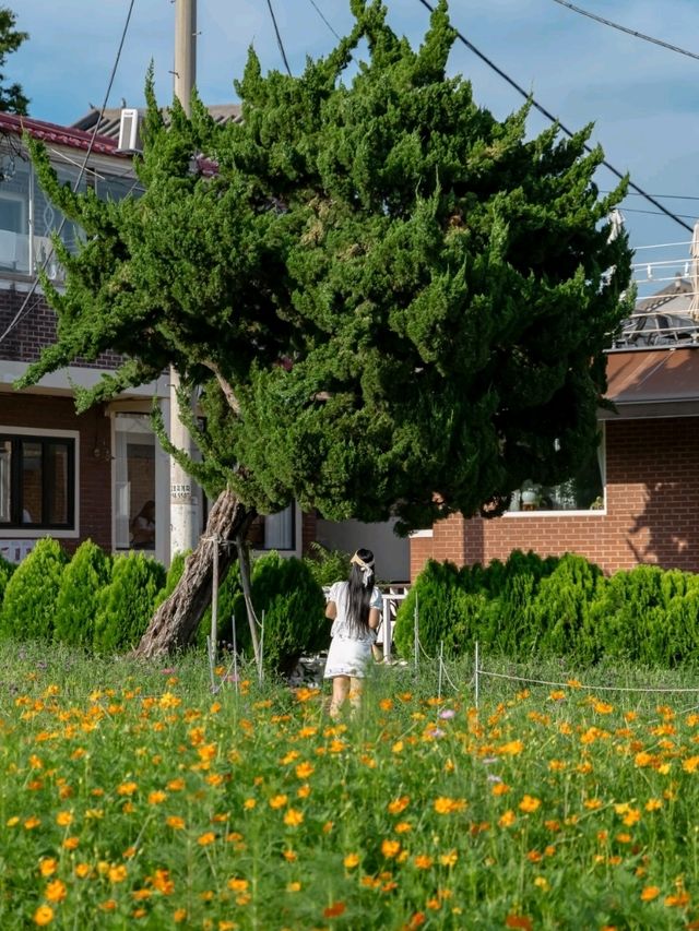 수원 행궁동에 이른 가을이 찾아왔어요🧡