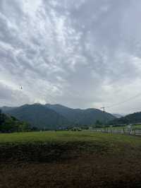 【神奈川県】入場無料の広々牧場🐮