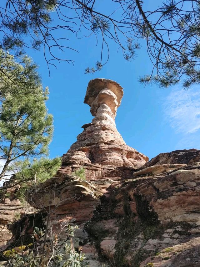 Rocks, Trails, and Pure Chill in Pajaroncillo