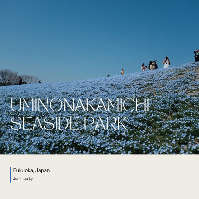 Uminonakamichi Seaside Park | ฟุกุโอกะ