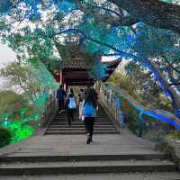 🌅 West Lake (西湖): A Grand Stage of Nature and Culture