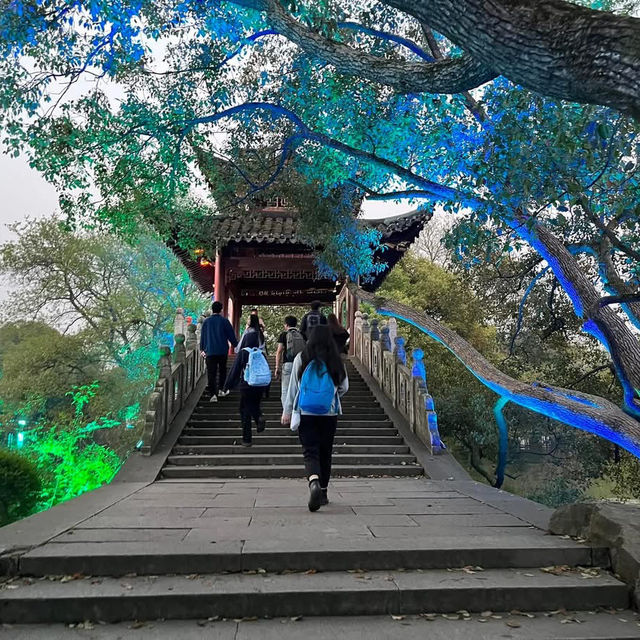 🌅 West Lake (西湖): A Grand Stage of Nature and Culture
