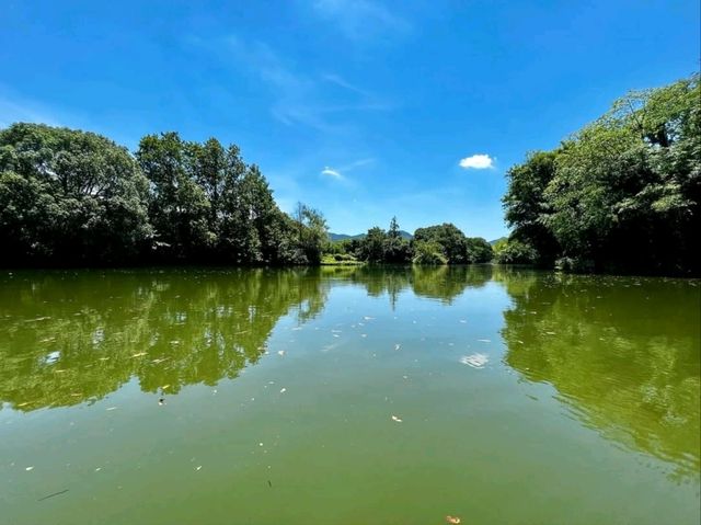 West Lake Walks 