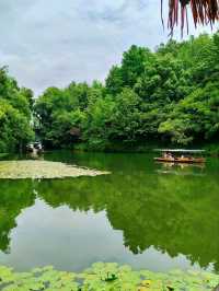 West Lake’s Hidden Waterworlds
