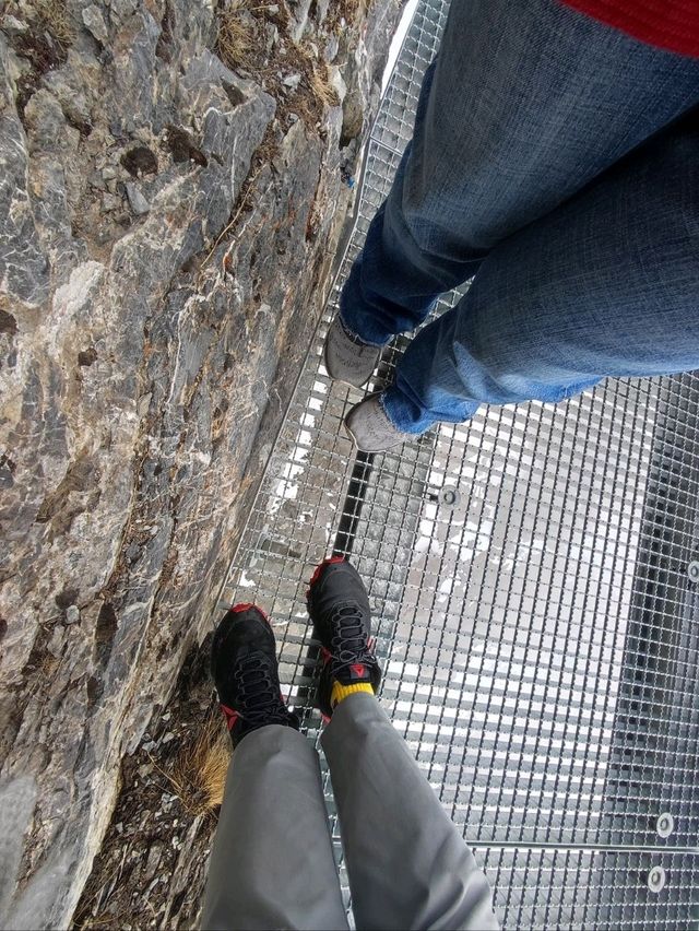 😱Thrill walk at Birg