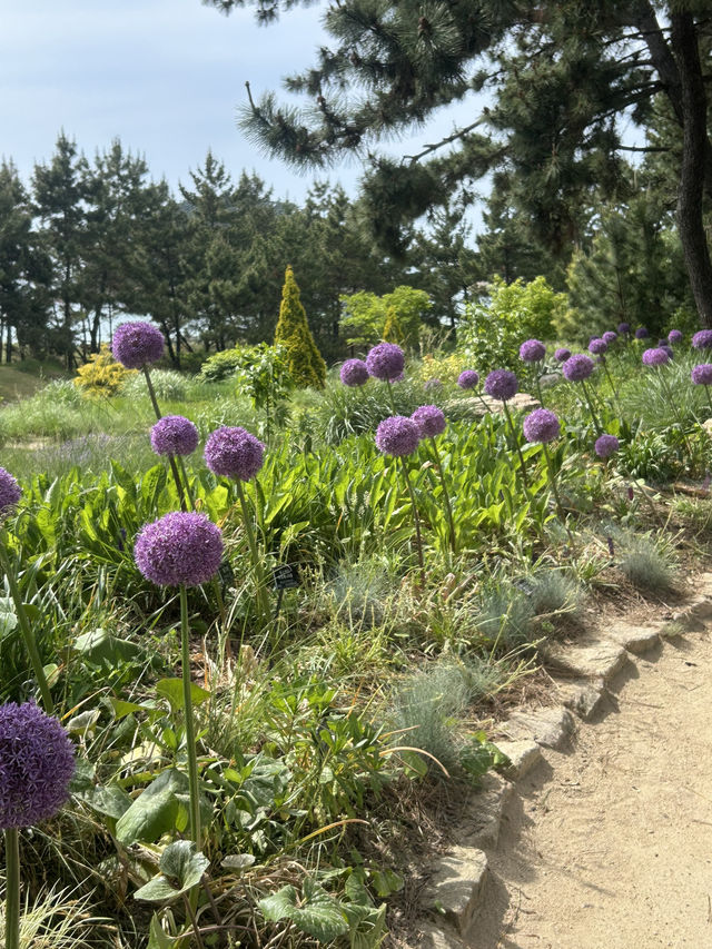사계절 꽃향기 머무는 서해안 오아시스 🌳🤍💙